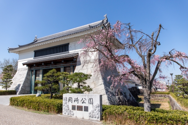 岡崎市のシンボルといえばメインビジュアル